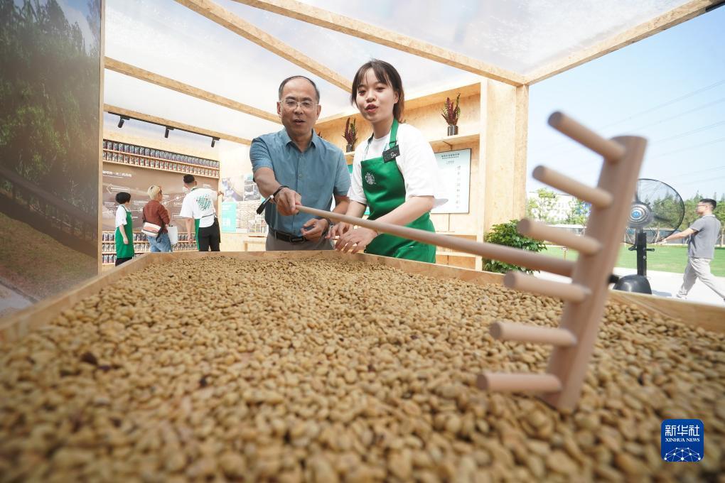 斗三公官网开户